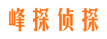 狮子山寻人公司